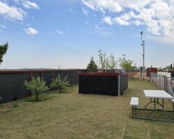 Puppy Patch 2 Puppy Patch 2