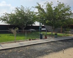 Puppy Patch 1 Puppy Patch 1