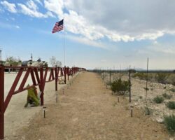 Walking Trail Walking Trail